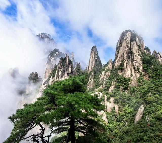 天下山峰何其多,惟有此處峰成林